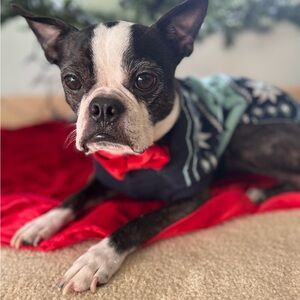 Meet your Posher, Diane